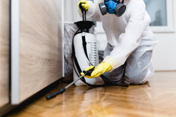 Best Pest Prevention Services  in Hrisburg, AR