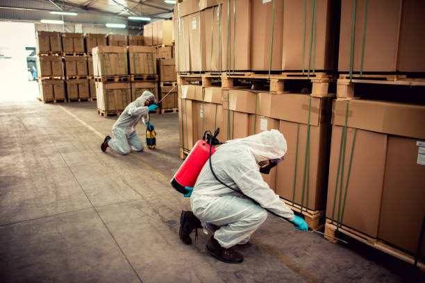 Reliable Harrisburg, AR Pest Control Solutions
