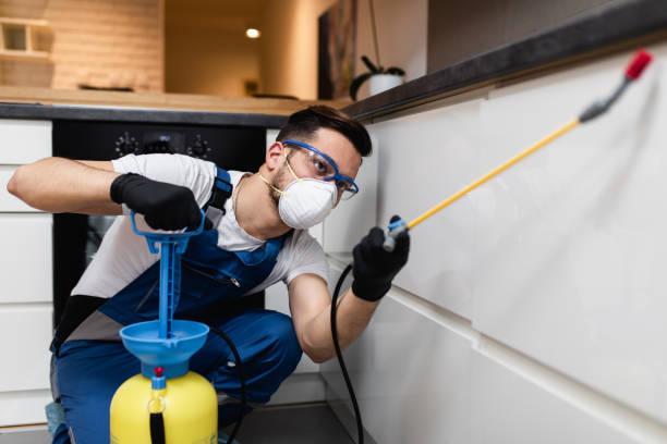 Best Rat Extermination Near Me  in Hrisburg, AR