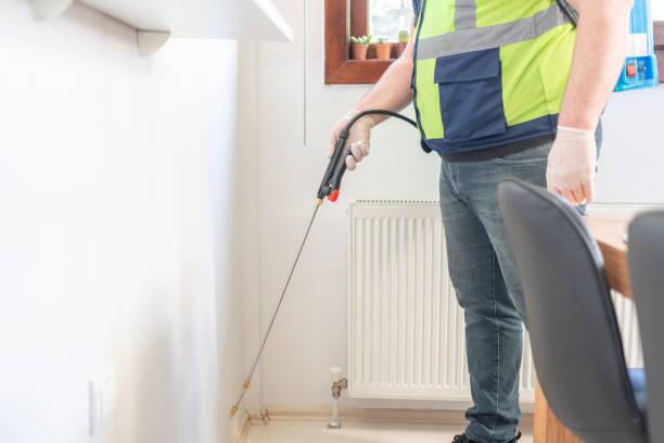 Best Wasp Removal Services  in Hrisburg, AR