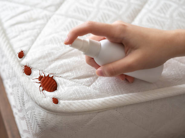 Best Affordable Exterminators  in Hrisburg, AR