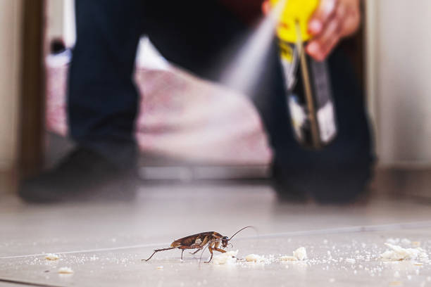 Best Affordable Pest Control Services  in Hrisburg, AR
