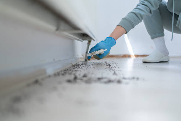 Best Pest Removal Services  in Hrisburg, AR